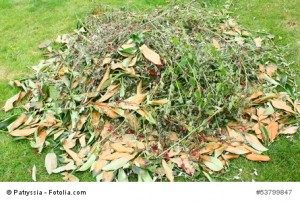 tas de branchages pour compost