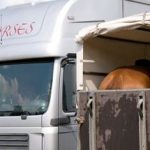 Gebrauchter Pferdetransporter: Worauf beim Kauf achten?