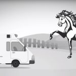 Worauf man bei einer Pferde OP Versicherung achten muss