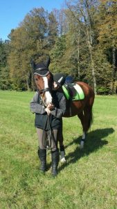 Kämpferpferd mit Happy End