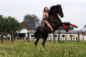 Mein Traum Pferd :)