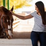 Die 10 wichtigsten Fragen beim Pferdekauf
