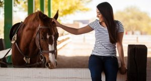 Fragen Pferdekauf