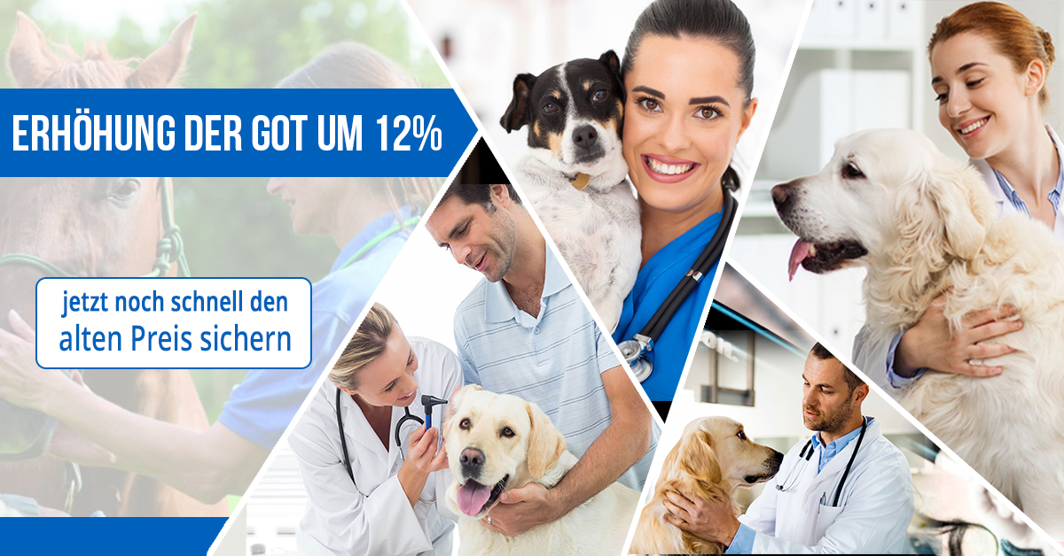 GOT Erhöhung Hund Pferd Spezial